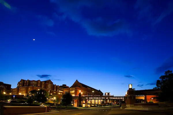 UT's skybridge reading the words "University of Tennessee" against a starry night sky. 